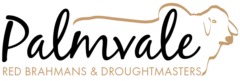 Palmvale Red Brahmans and Droughtmasters