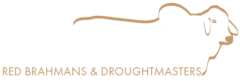 Palmvale Red Brahmans and Droughtmasters